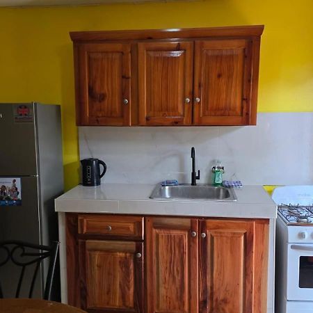 Wizzy Apartment White River Ocho Rios Exteriör bild