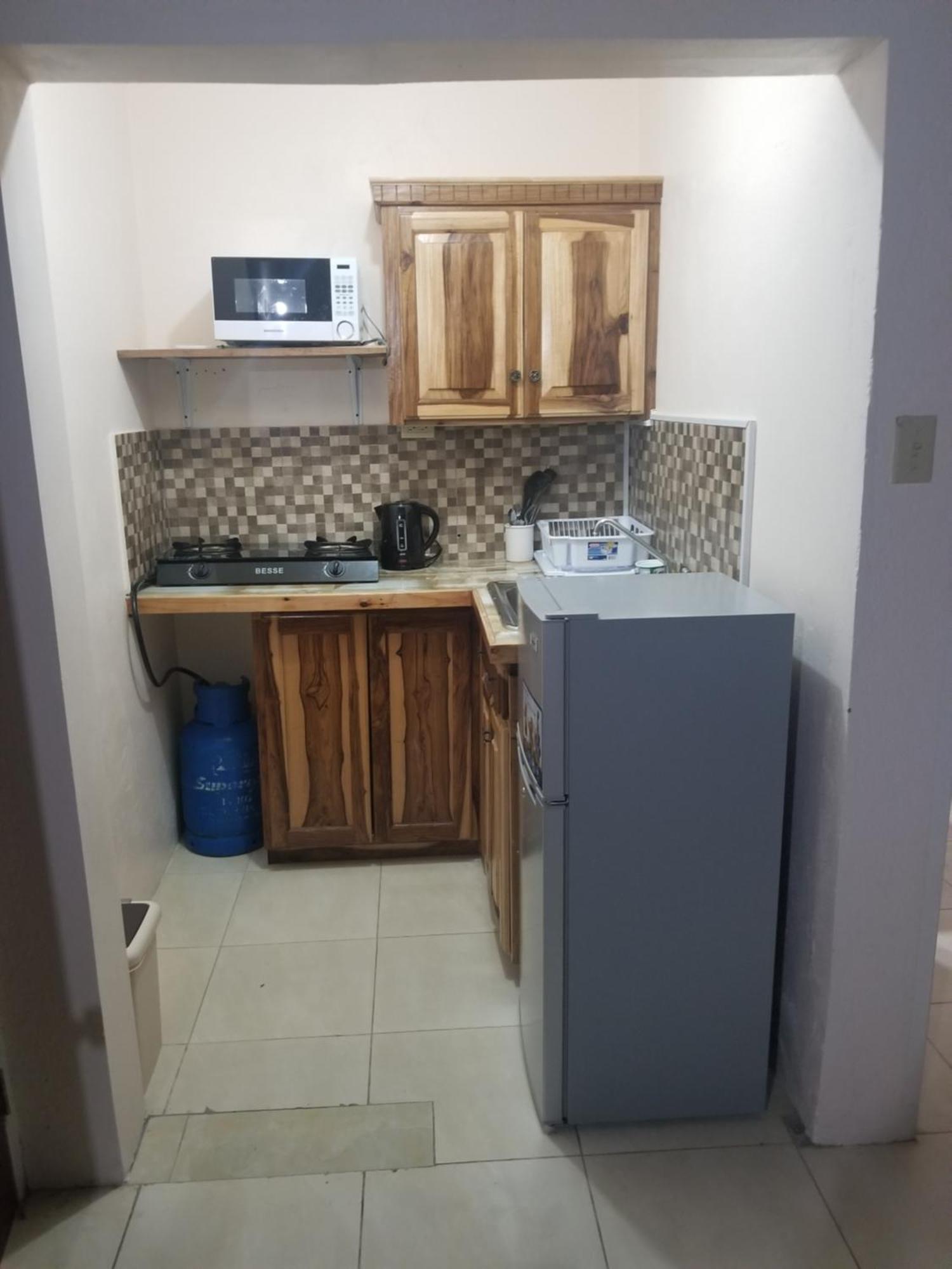 Wizzy Apartment White River Ocho Rios Exteriör bild