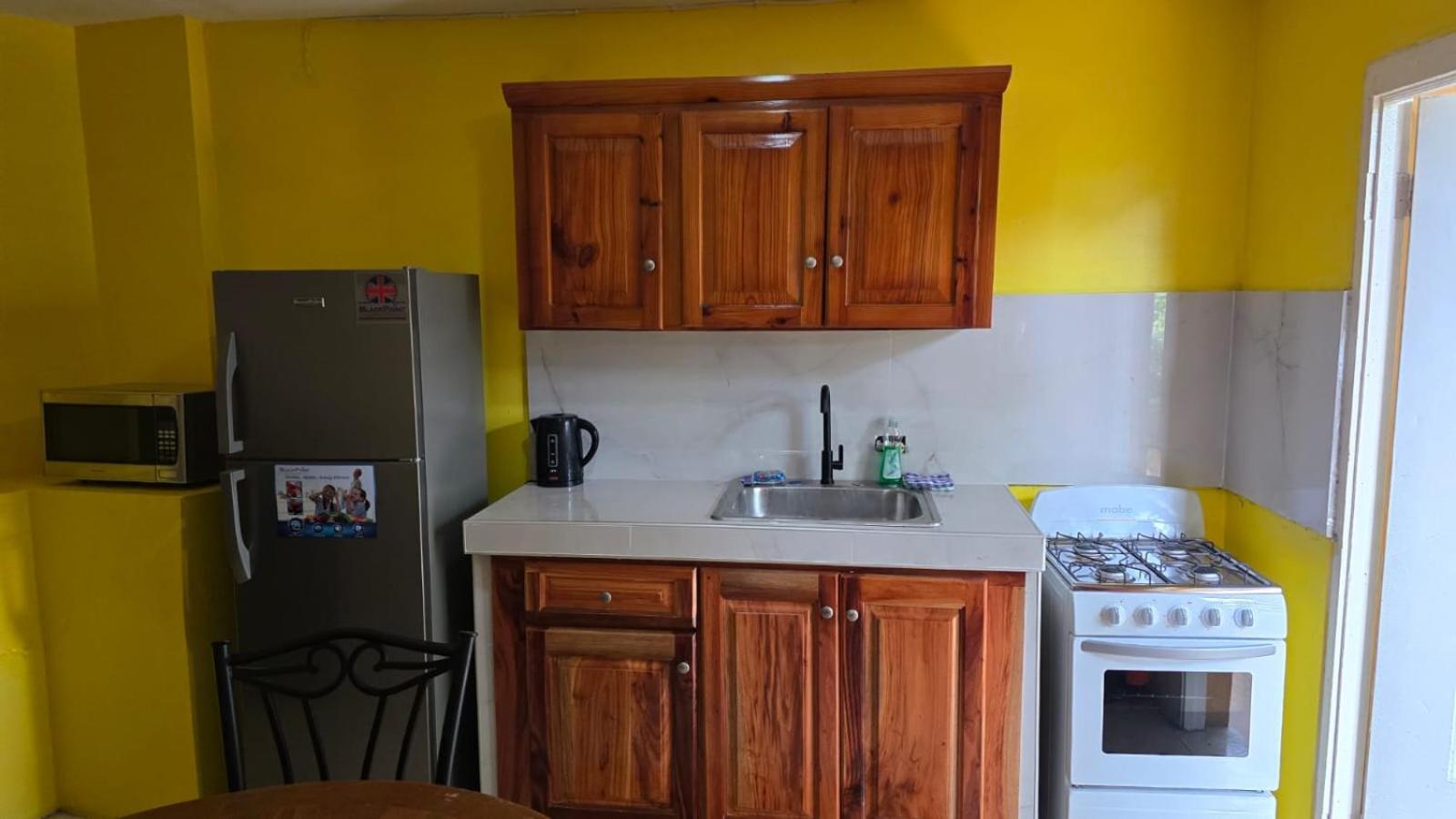 Wizzy Apartment White River Ocho Rios Exteriör bild